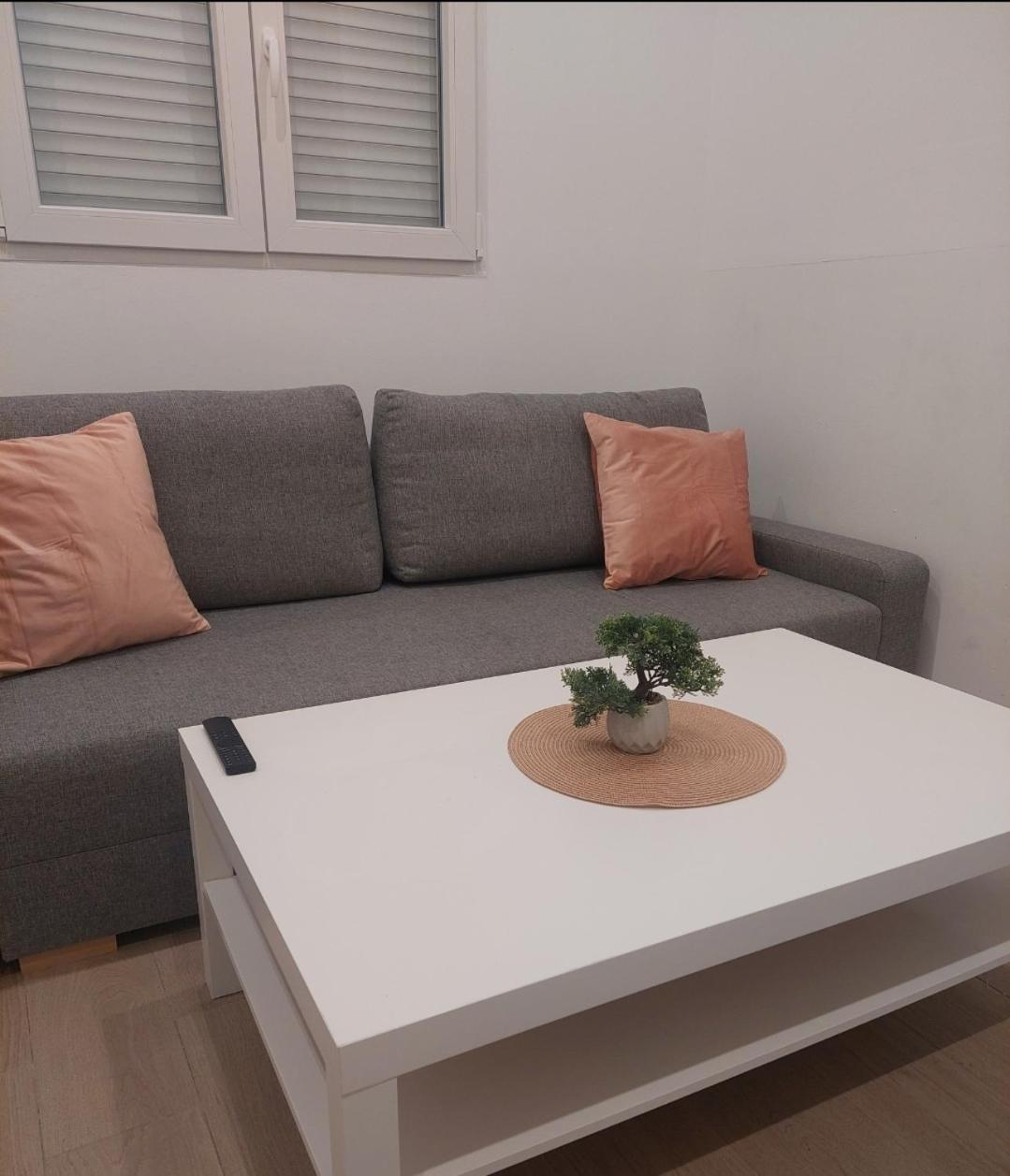 Appartement Cactus22 à Alicante Extérieur photo